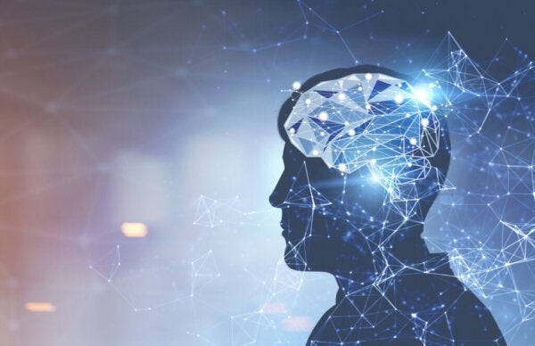 David Eagleman: Biografi om en hjerneekspert