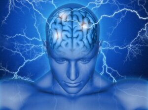 Det supplerende motoriske barkområde i hjernen