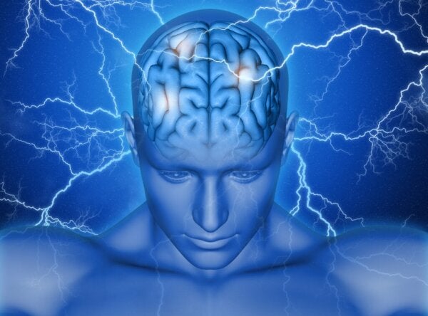 Det supplerende motoriske barkområde i hjernen