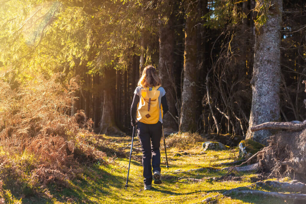 kvinne på tur i skogen