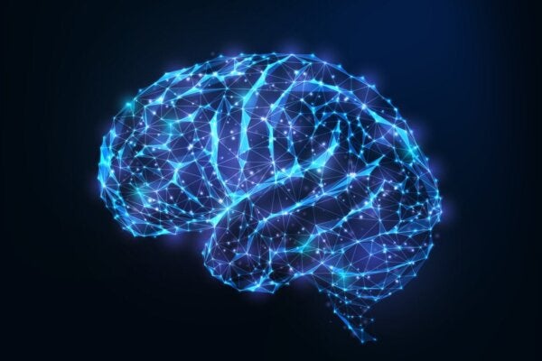 Finnes det en forbindelse mellom personlighet og hjernestruktur?