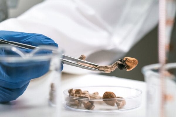 Bruken av psykedelika ved behandling av terminal sykdom