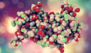 Funksjonene til veksthormon (GH)