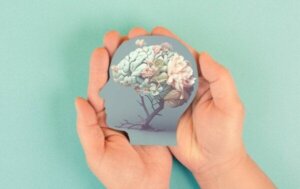 Menneskets fire universelle behov