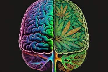 Forbindelsen mellom cannabis og schizofreni