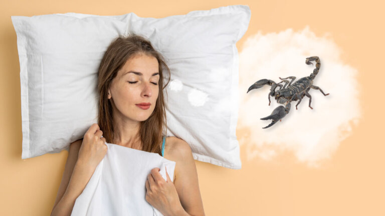 Hva betyr det å drømme om skorpioner?