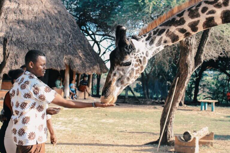 Økoterapi i Sør-Afrika: en reise for å komme i kontakt med deg selv igjen